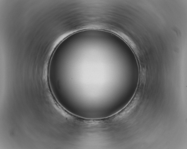 X0000113030862200908271453