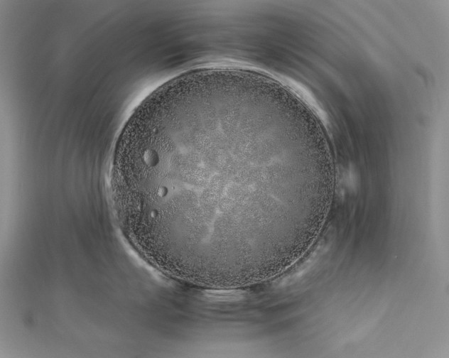 X0000113030863200908271453