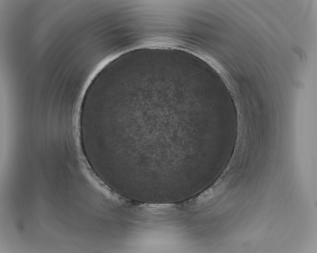 X0000113030864200908271453