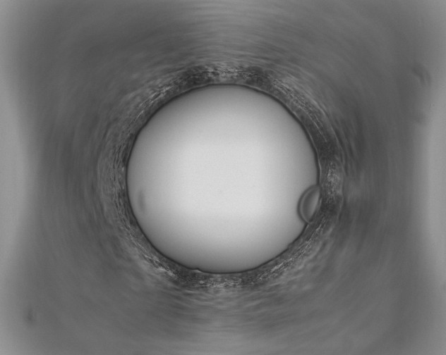 X0000113030865200908271453