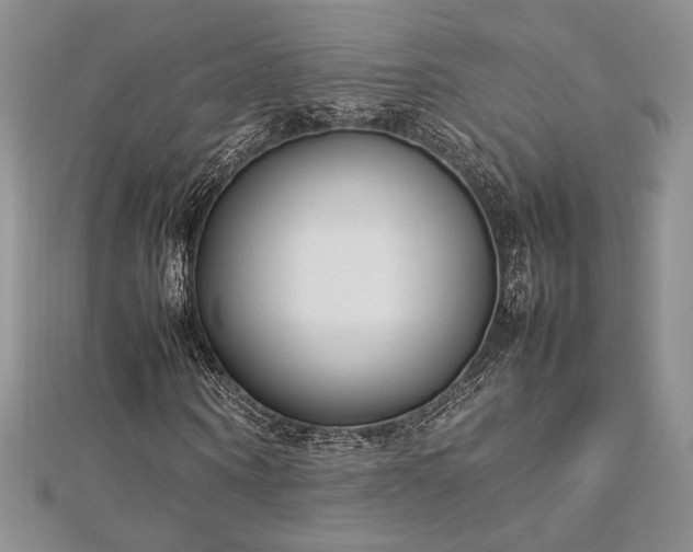 X0000113030866200908271453