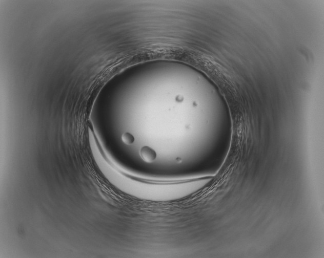 X0000113030868200908271453