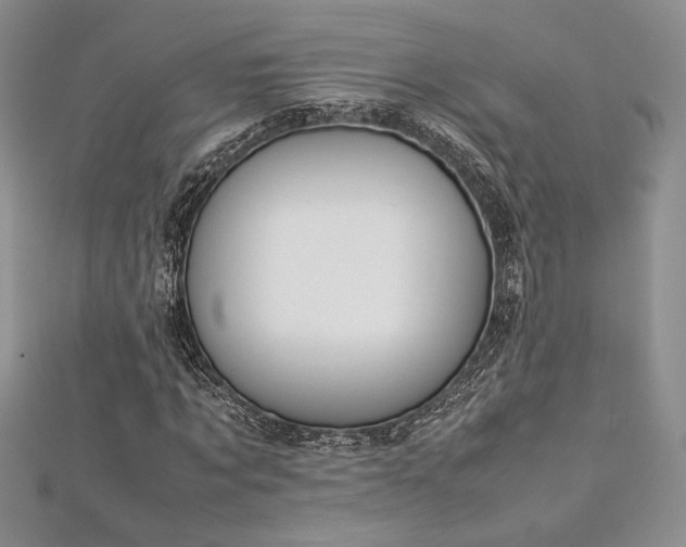 X0000113030869200908271453