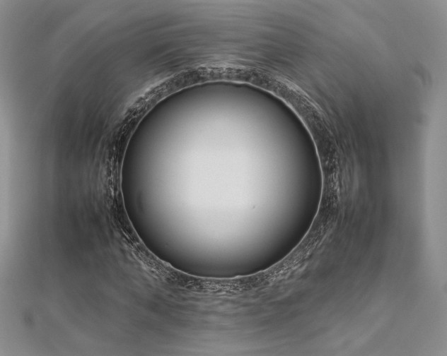 X0000113030870200908271453