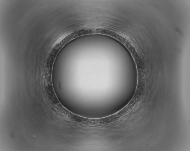 X0000113030871200908271453