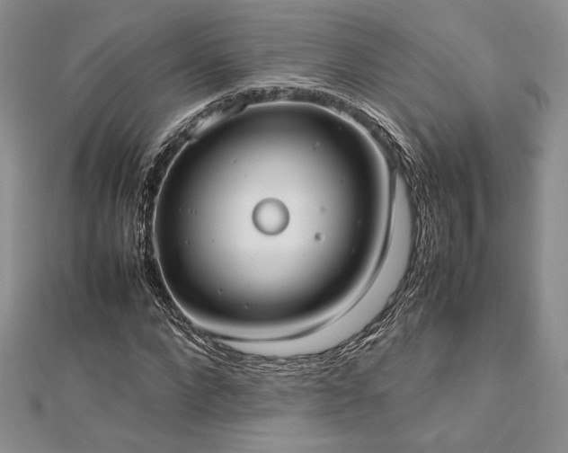 X0000113030872200908271453