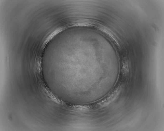 X0000113030874200908271453