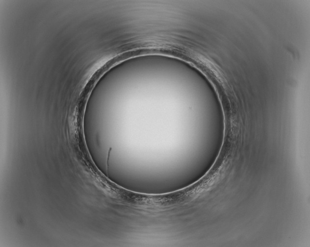 X0000113030875200908271453