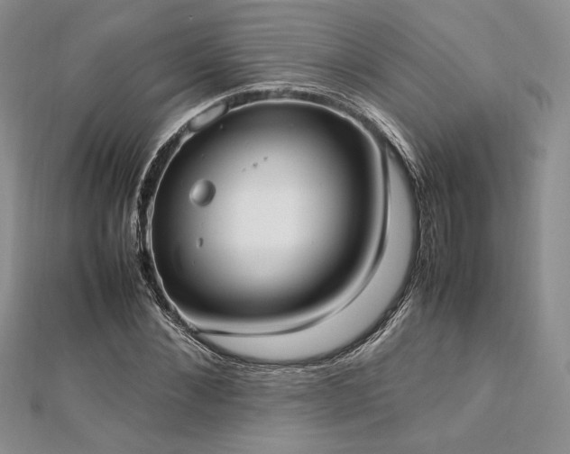 X0000113030876200908271453