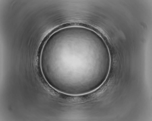 X0000113030879200908271452