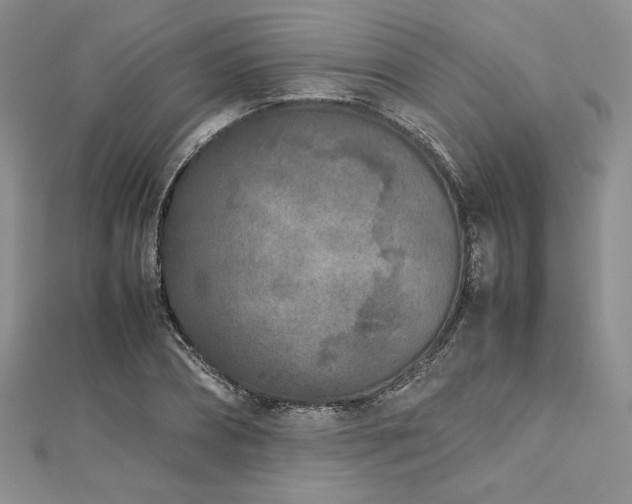 X0000113030882200908271452