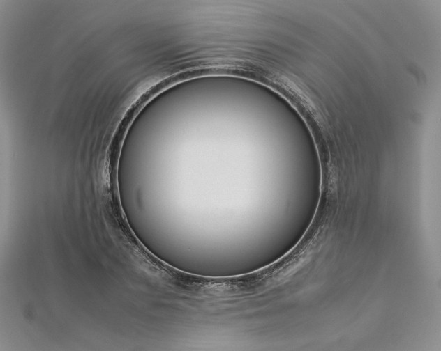 X0000113030883200908271452