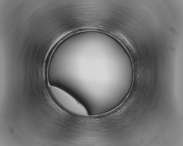 X0000113030884200908271452