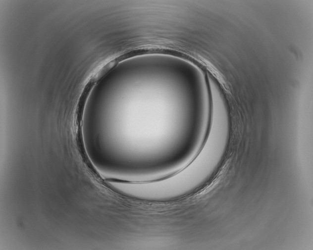 X0000113030885200908271452