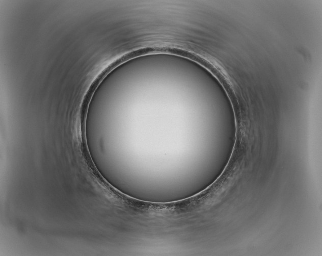 X0000113030887200908271452