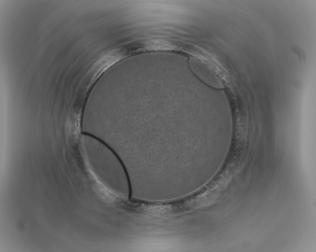 X0000113030889200908271452