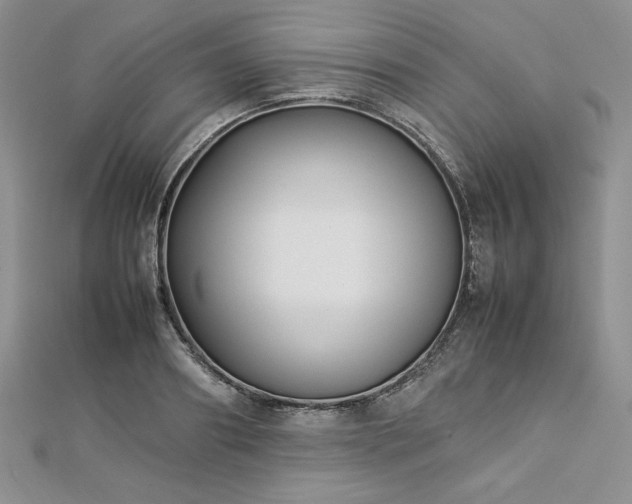 X0000113030890200908271452