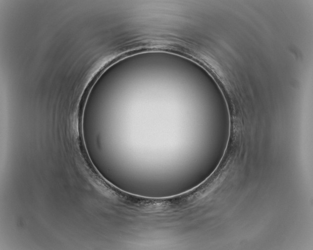 X0000113030891200908271452