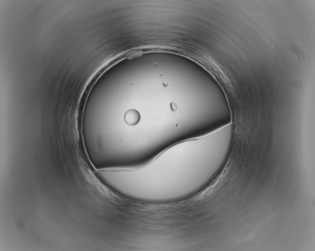 X0000113030892200908271452