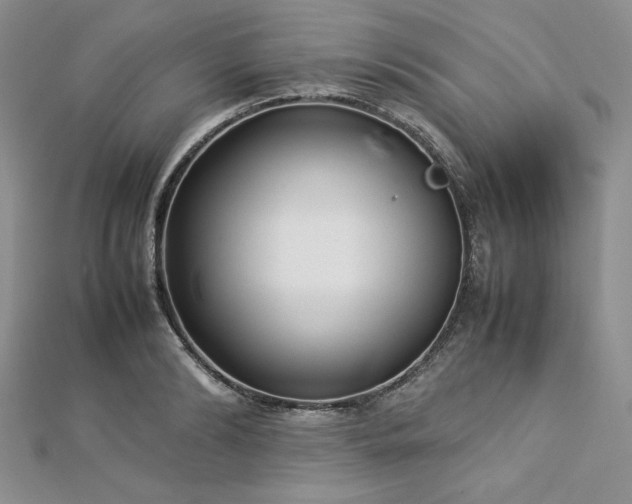 X0000113030894200908271452