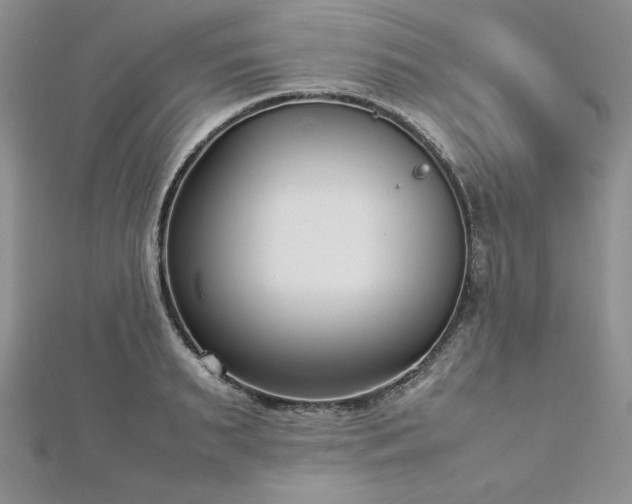 X0000113030895200908271452