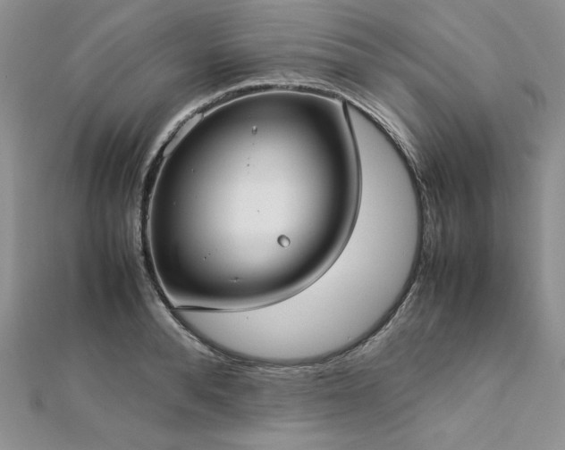 X0000113030896200908271452