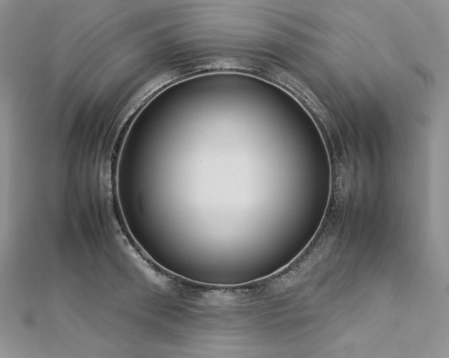 X0000113030898200908271452