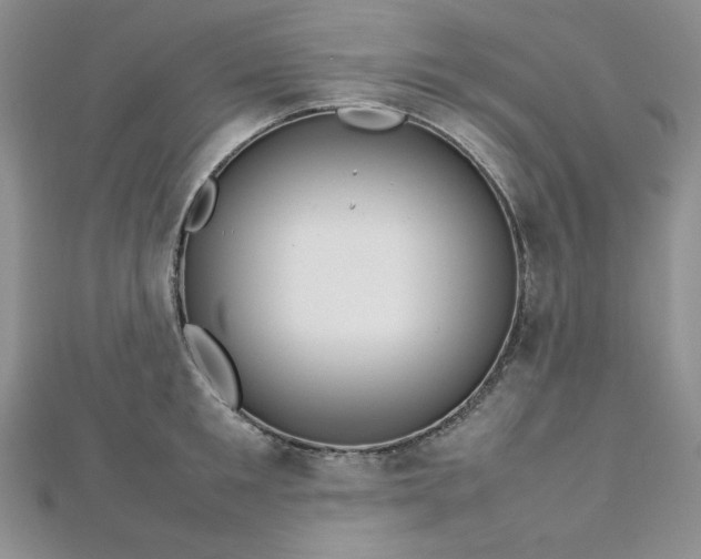 X0000113030901200908271452