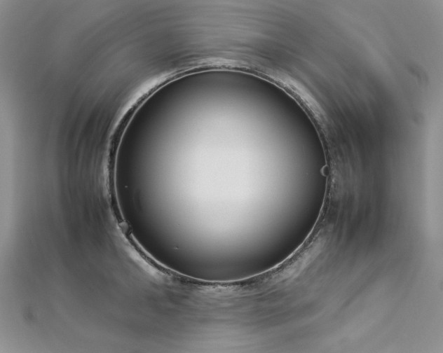 X0000113030902200908271452