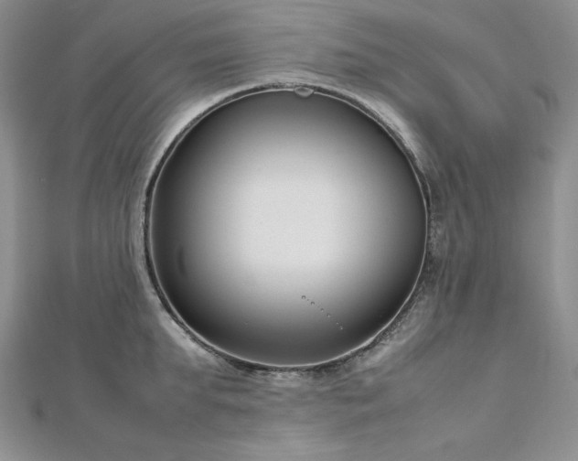 X0000113030903200908271452