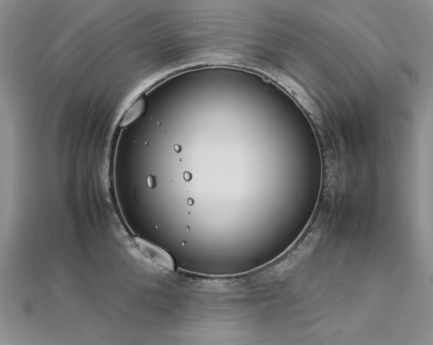 X0000113030904200908271452