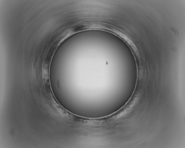 X0000113030905200908271452