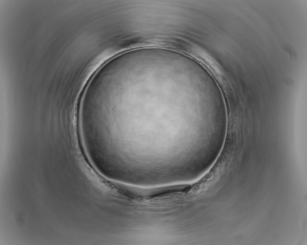 X0000113030907200908271452