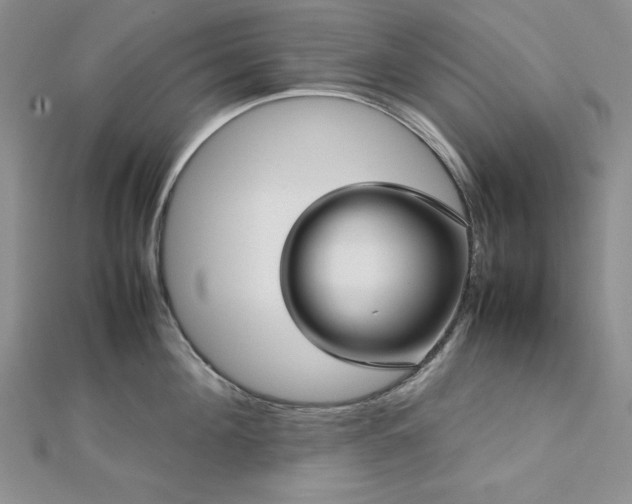 X0000113030908200908271452