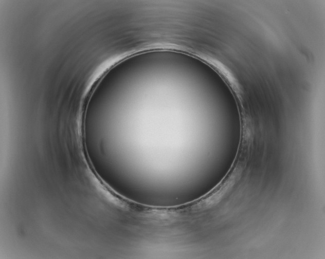 X0000113030910200908271452