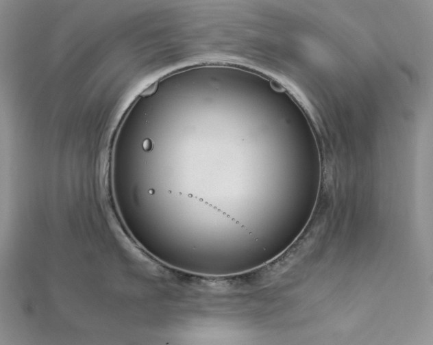 X0000113030911200908271452