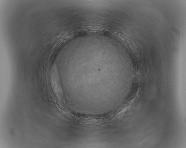 X0000113030913200908271451