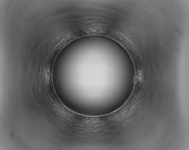 X0000113030915200908271451