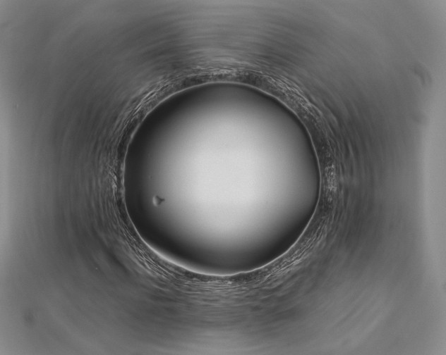 X0000113030916200908271451