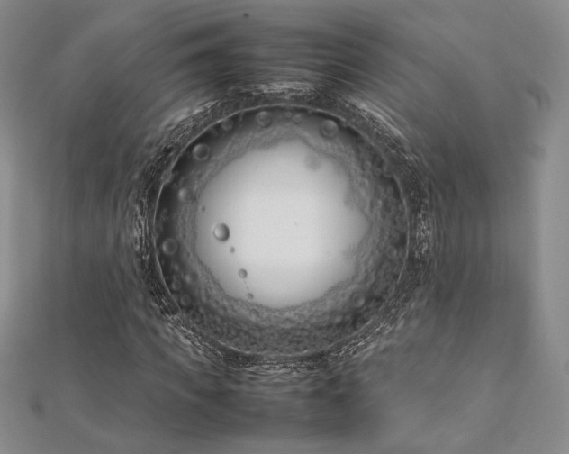 X0000113030917200908271451