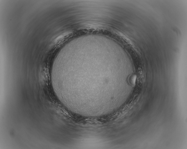 X0000113030918200908271452