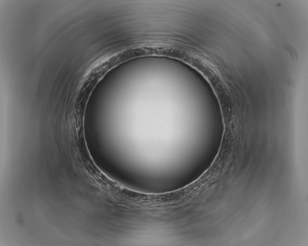 X0000113030920200908271452