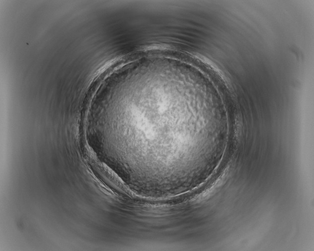 X0000113030921200908271452