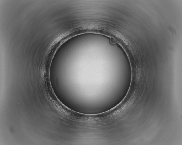 X0000113030922200908271452