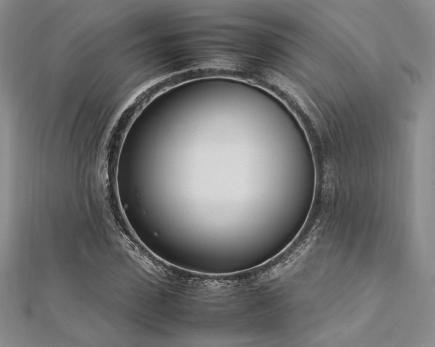 X0000113030923200908271452