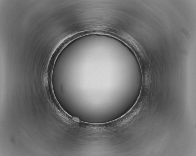 X0000113030924200908271452