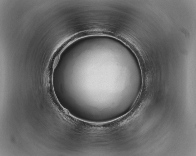 X0000113030925200908271452