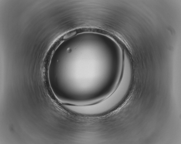 X0000113030926200908271452