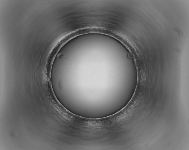 X0000113030927200908271452