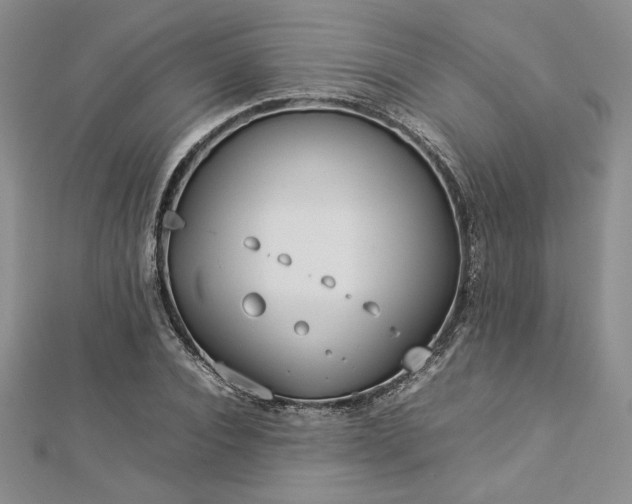 X0000113030928200908271452